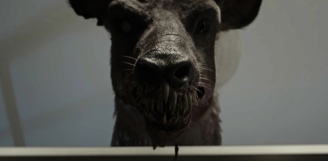 出会ったら即死…狂獣バンビが迫り来る『子鹿のゾンビ』新場面写真（3枚目）