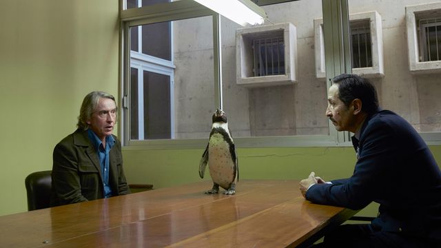 かわいいペンギン！『ペンギン・レッスン』場面写真（6枚目）