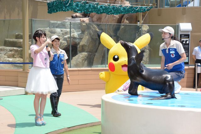 篠原信一がアシカと輪投げ対決！「夏休みポケモンカーニバル」フォトギャラリー（10枚目）