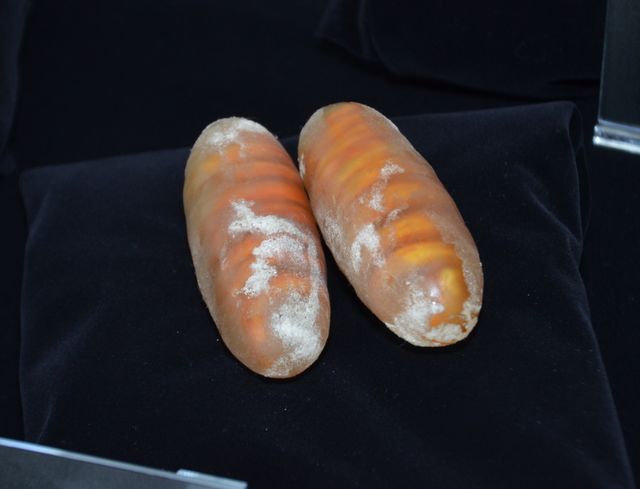 ハリポタ新シリーズの小道具12点が日本に！フォトギャラリー（3枚目）