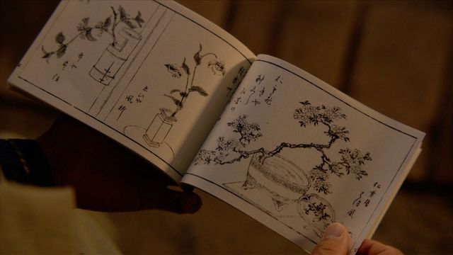 「べらぼう」わさびに毒草！女郎を花に見立てる「一目千本」の中身＜18枚＞（3枚目）