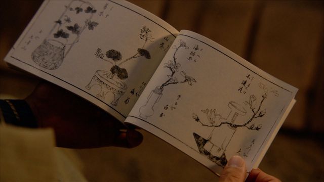 「べらぼう」わさびに毒草！女郎を花に見立てる「一目千本」の中身＜18枚＞（4枚目）