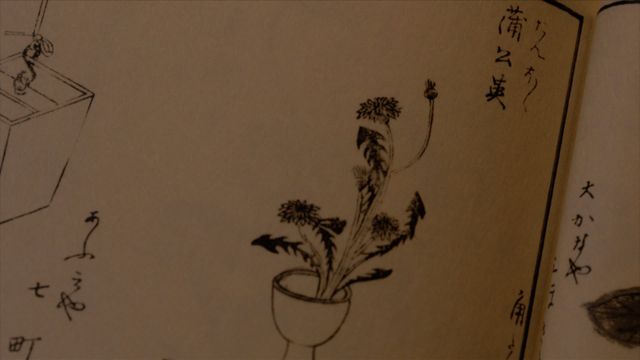 「べらぼう」わさびに毒草！女郎を花に見立てる「一目千本」の中身＜18枚＞（13枚目）