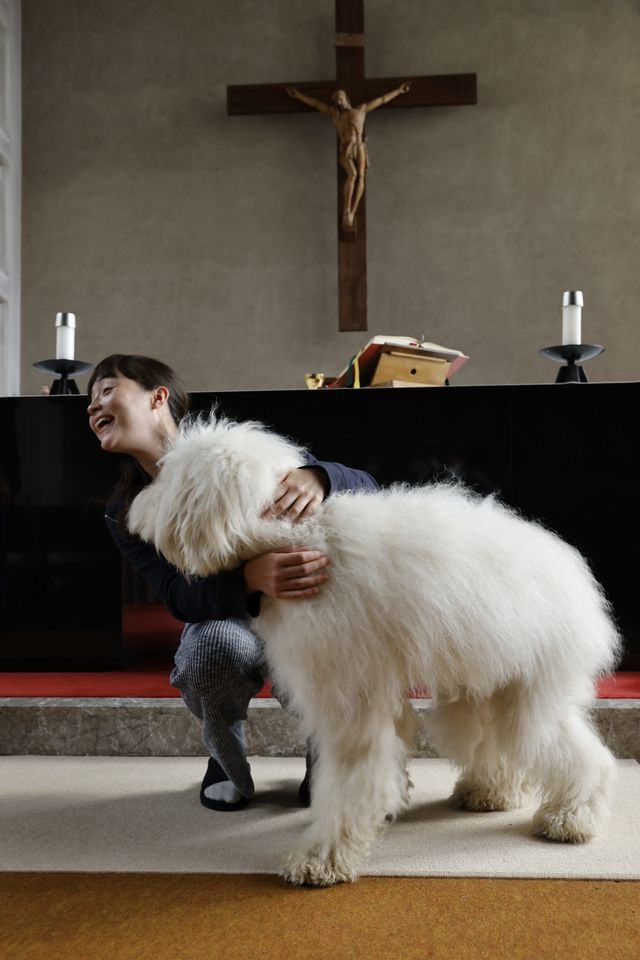 かわいい俳優犬ベック！『ハウ』オフショット集（4枚目）