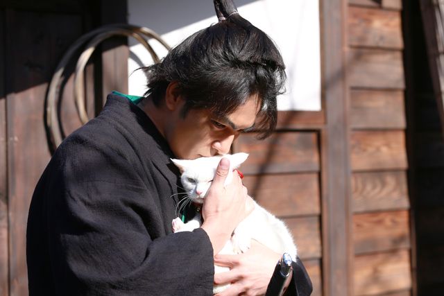 ドラマ「猫侍 SEASON 2」フォトギャラリー：フォトギャラリー