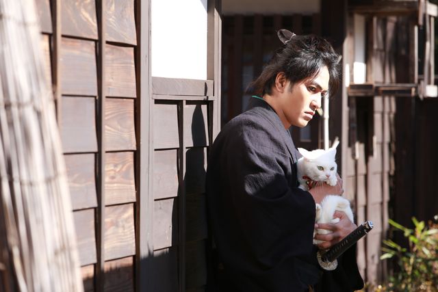 ドラマ「猫侍 SEASON 2」フォトギャラリー（19枚目）