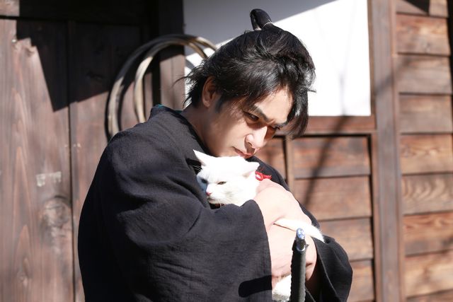 ドラマ「猫侍 SEASON 2」フォトギャラリー（20枚目）