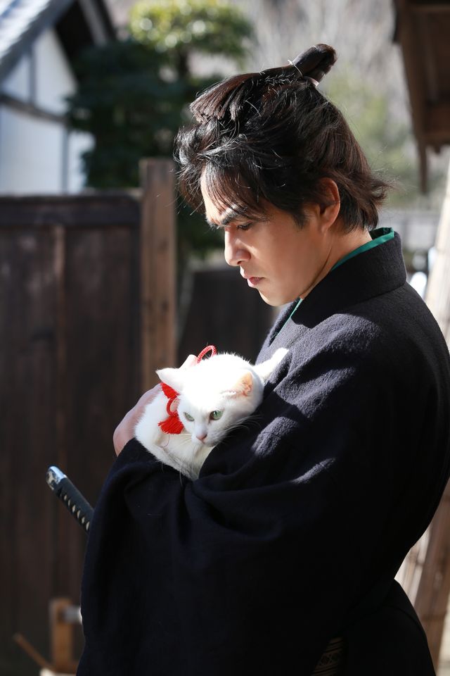 ドラマ「猫侍 SEASON 2」フォトギャラリー（22枚目）