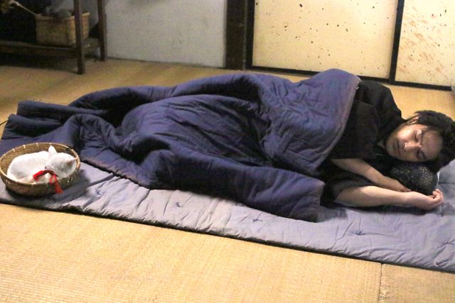 ドラマ「猫侍 SEASON 2」フォトギャラリー（24枚目）