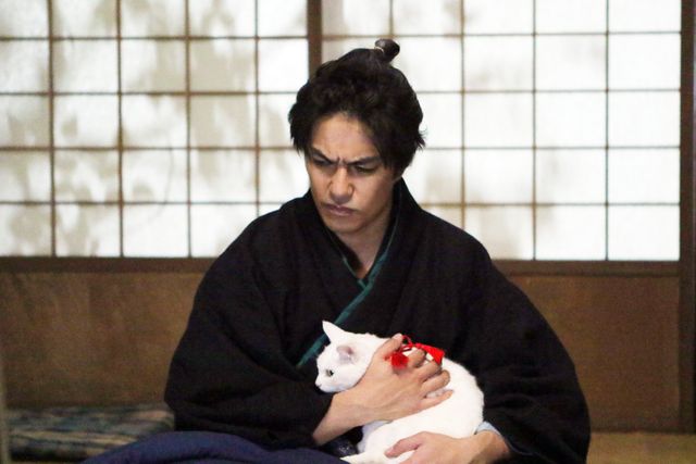 ドラマ「猫侍 SEASON 2」フォトギャラリー（25枚目）