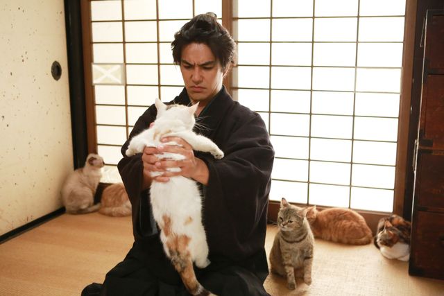 ドラマ「猫侍 SEASON 2」フォトギャラリー（37枚目）