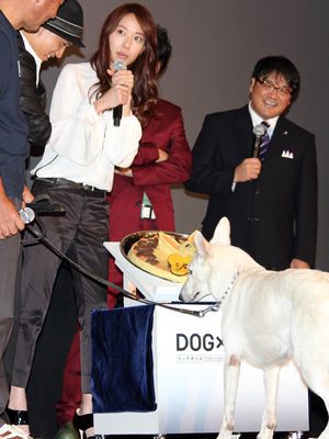 犬用のケーキはまずい!?　デコレーション担当の戸田恵梨香と、つまみ食いをしたカンニング竹山