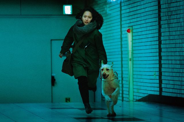 こんな吉岡里帆みたことない！『見えない目撃者』場面カット：フォトギャラリー