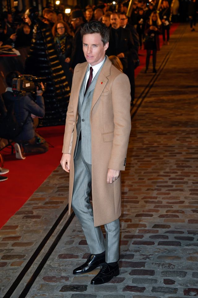 エディ・レッドメインら『ファンタビ』新作ワールドプレミアに大集結（4枚目）