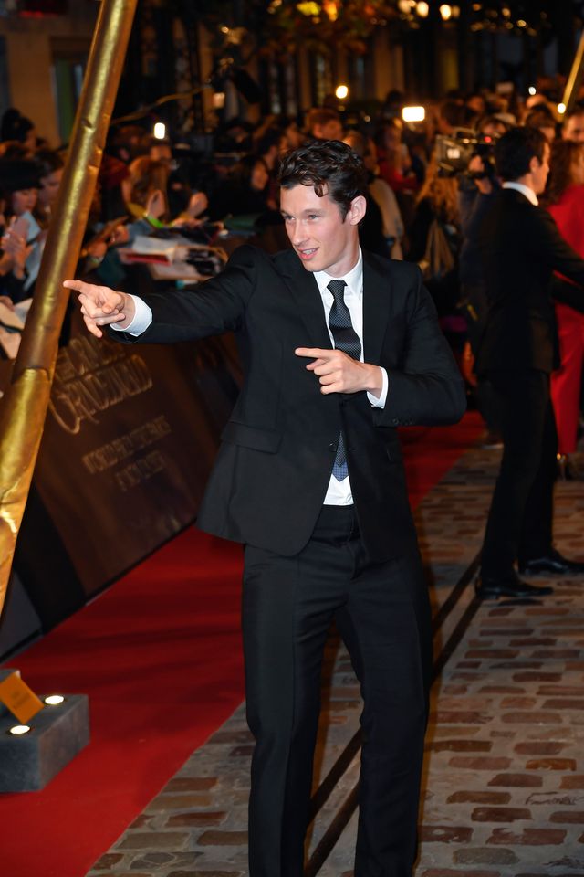 エディ・レッドメインら『ファンタビ』新作ワールドプレミアに大集結（14枚目）