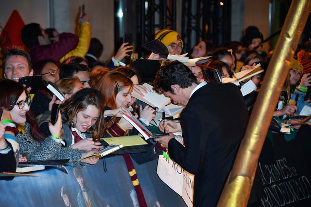 エディ・レッドメインら『ファンタビ』新作ワールドプレミアに大集結（15枚目）