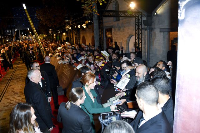 エディ・レッドメインら『ファンタビ』新作ワールドプレミアに大集結（18枚目）