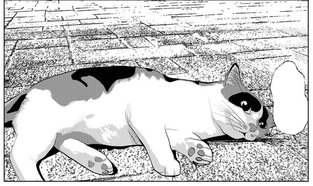 ドラマ版「セトウツミ」キャラクタービジュアル一挙公開！（9枚目）