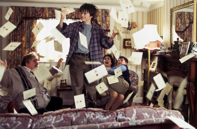 『ハリー・ポッター』シリーズのダドリー坊や（3枚目）