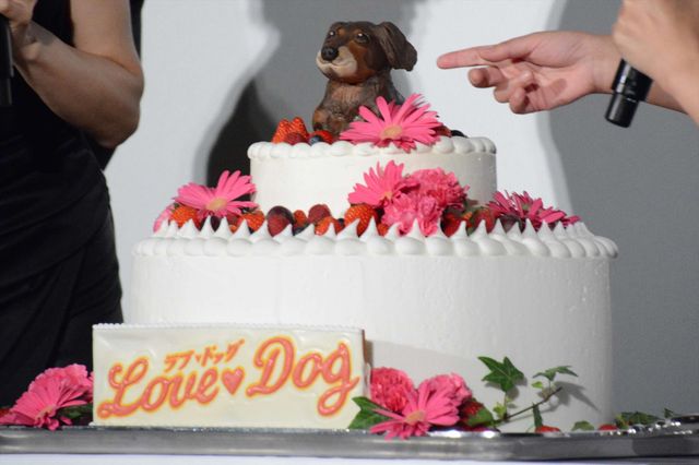 吉田羊と大久保佳代子の生クリームチュー『ラブ×ドック』公開記念舞台あいさつ【全28枚】（2枚目）