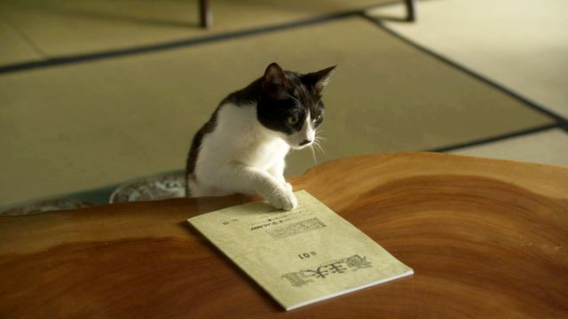 津田健次郎主演「極工夫道」場面写真（2枚目）