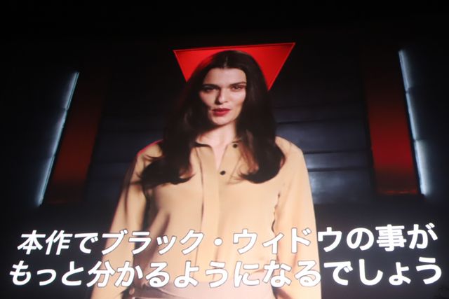 吹き替え声優が登場！『ブラック・ウィドウ』公開記念『アベンジャーズ／エンドゲーム』特別上映会（9枚目）