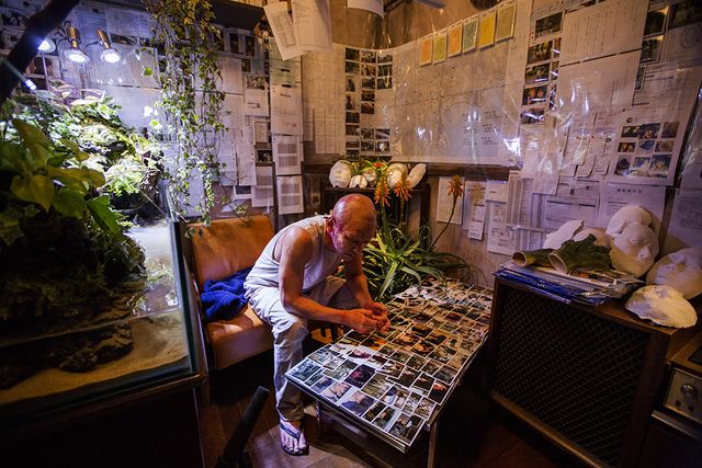 これが妻夫木聡演じるカエル男…！映画『ミュージアム』フォトギャラリー（4枚目）