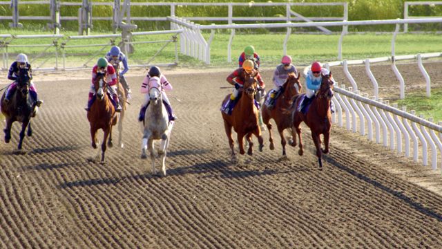 小嶋陽菜、下着姿で馬と共演！フォトギャラリー（17枚目）