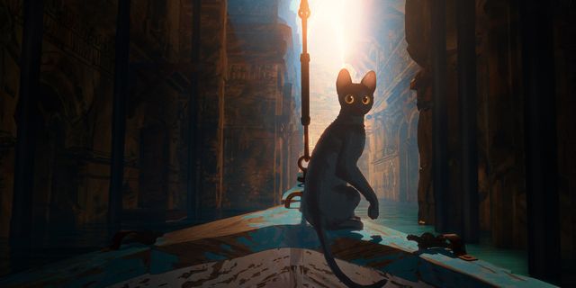 『Flow』が Prime Video 配信決定!