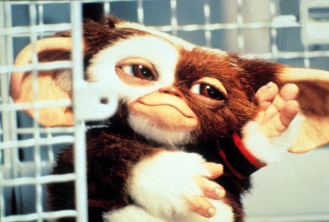 『グレムリン』が帰ってくる