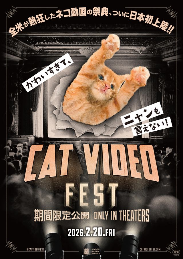 茶トラがスクリーンを突き破る！『CatVideoFest』ポスター