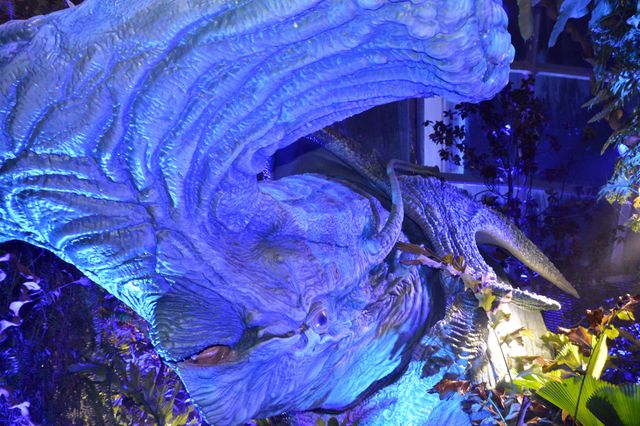 『アバター』ナヴィ族になった気分！シンガポール「アバター：ザ・エクスペリエンス」会場の様子（2枚目）