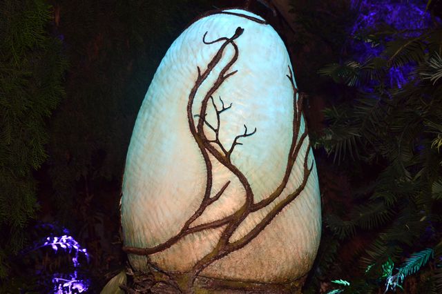 『アバター』ナヴィ族になった気分！シンガポール「アバター：ザ・エクスペリエンス」会場の様子（8枚目）