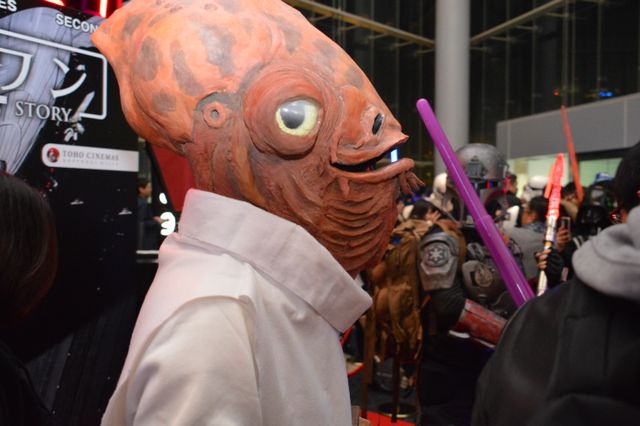 『スター・ウォーズ』美しいコスプレイヤーさんも祝福！『ローグ・ワン』カウントダウンフォトギャラリー（10枚目）