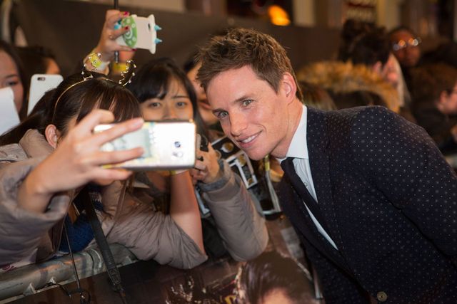 エディ・レッドメインら出席！『ファンタスティック・ビーストと魔法使いの旅』ロンドンプレミア写真ギャラリー：フォトギャラリー