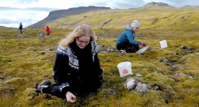 アイスランド発ドキュメンタリー映画『<主婦>の学校』場面写真（8枚目）