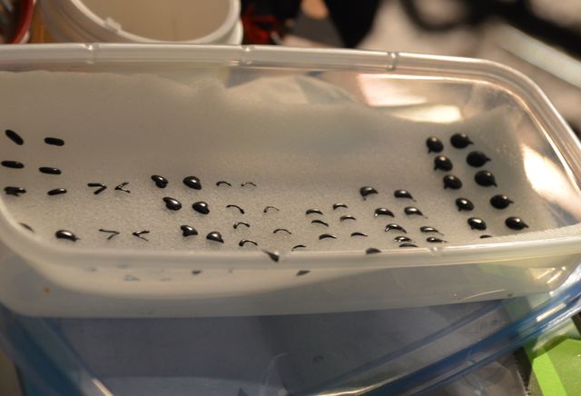 「サバイバル・ウェディング」こま撮りパート撮影中の模様（6枚目）