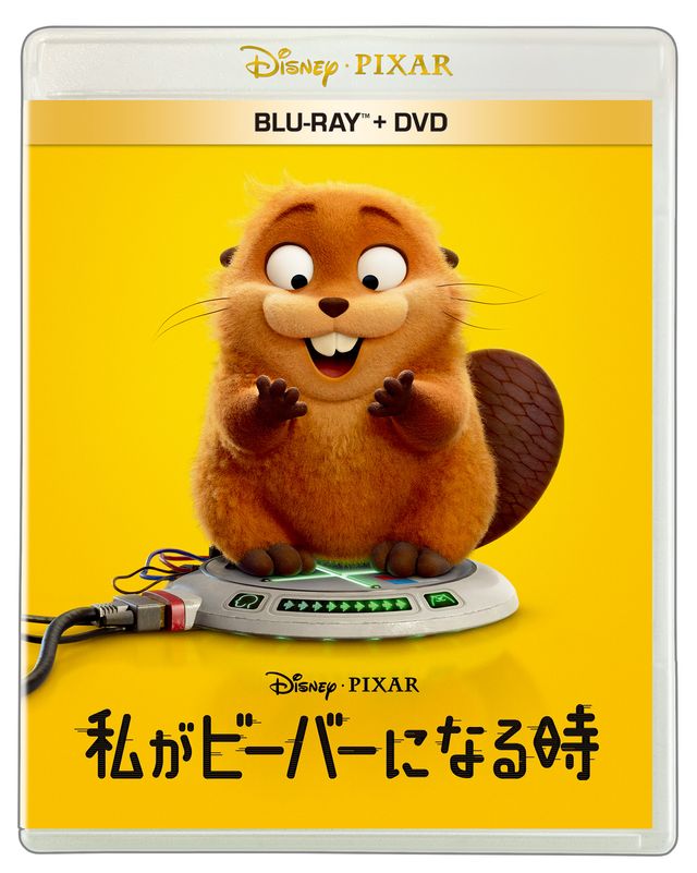 トリビアたくさん!