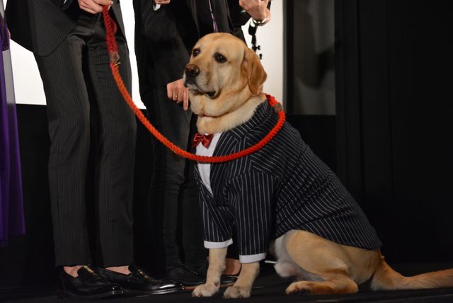 中山美穂、パープルのドレスで登場『蝶の眠り』初日舞台あいさつ【全14枚】（7枚目）