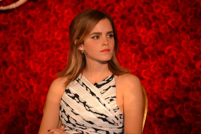 バラが似合う！エマ・ワトソン＆ルーク・エヴァンス『美女と野獣』LA会見フォトギャラリー（6枚目）