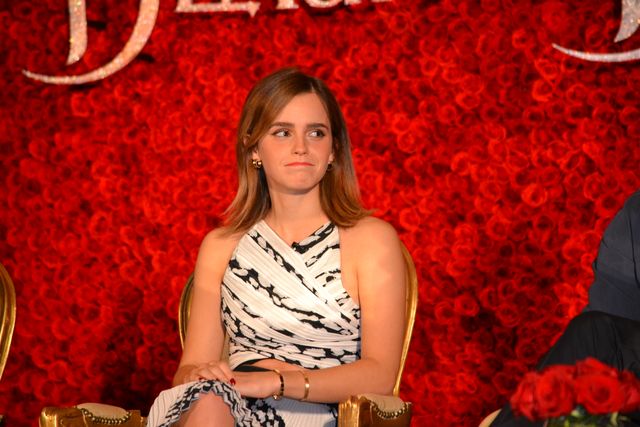 バラが似合う！エマ・ワトソン＆ルーク・エヴァンス『美女と野獣』LA会見フォトギャラリー（7枚目）