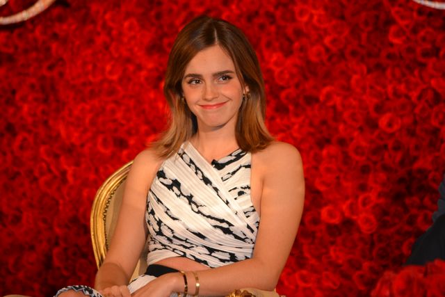 バラが似合う！エマ・ワトソン＆ルーク・エヴァンス『美女と野獣』LA会見フォトギャラリー（21枚目）