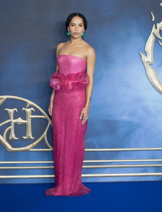 桐谷美玲、ジョニー・デップら登場『ファンタビ』新作ロンドンプレミア（15枚目）