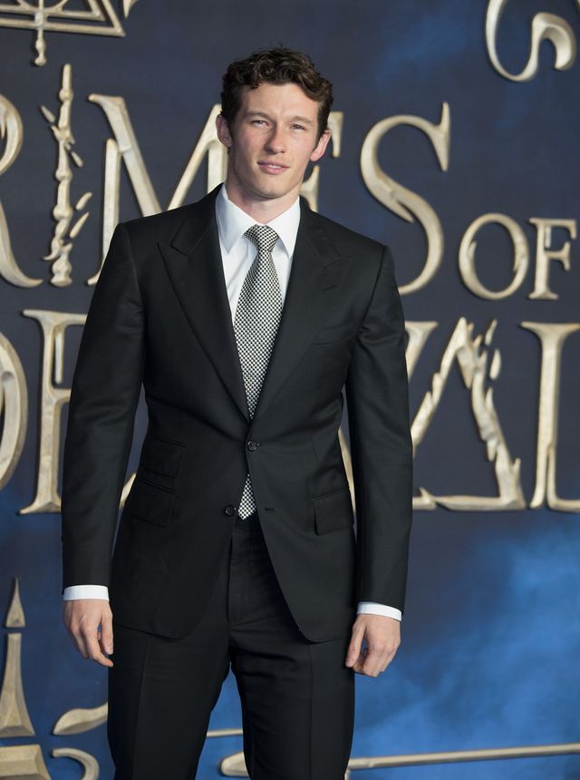 桐谷美玲、ジョニー・デップら登場『ファンタビ』新作ロンドンプレミア（16枚目）