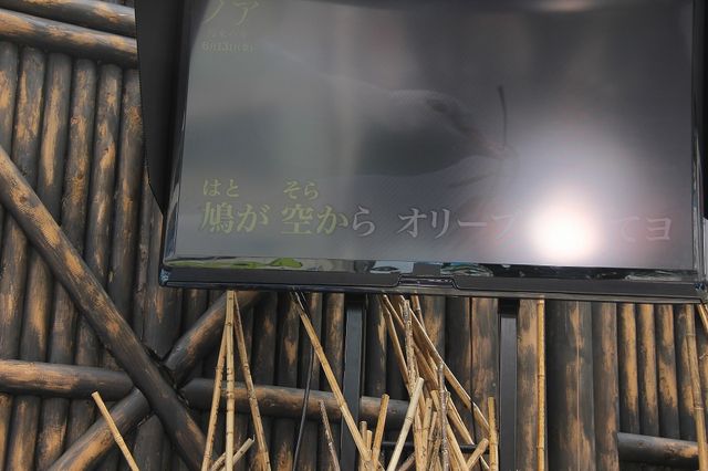 替え歌「ノア 約束の舟唄」を熱唱！八代亜紀、映画『ノア 約束の舟』公開記念イベントフォトギャラリー（6枚目）