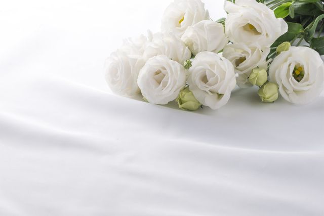 ジェームズ・カーター・カスカートさんは長年にわたってアニメ「ポケットモンスター」の米声優を務めた