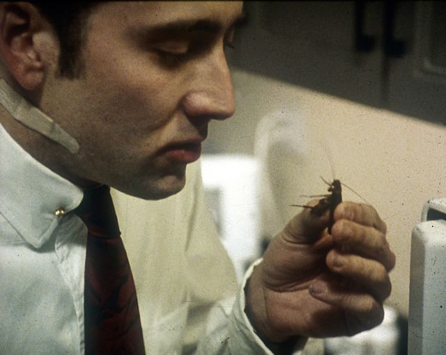 バンパイア・キッス』狂気のニコラス・ケイジ：フォトギャラリー