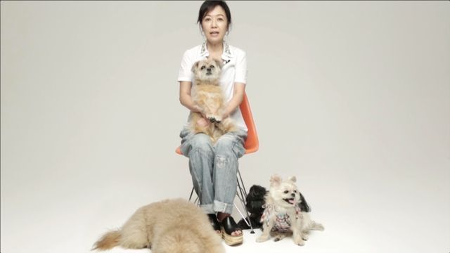 長澤まさみ、伊勢谷友介、佐藤浩市ら豪華メンバー18人が動物愛護を訴える！フォトギャラリー（10枚目）