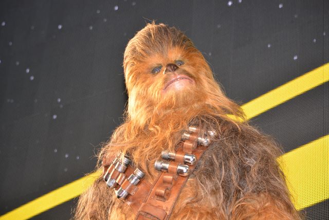 若きハン・ソロ初来日！『ハン・ソロ／スター・ウォーズ・ストーリー』ジャパンプレミア（15枚目）