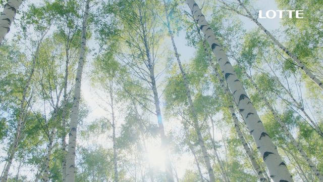 渡部建＆佐々木希が夫婦共演！新CMより：フォトギャラリー